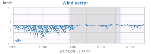 Wind Vector